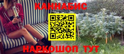 сатива Канаш