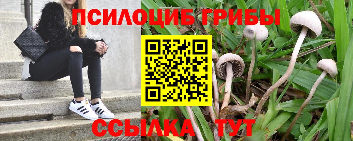 Псилоцибиновые грибы мухоморы Крымск