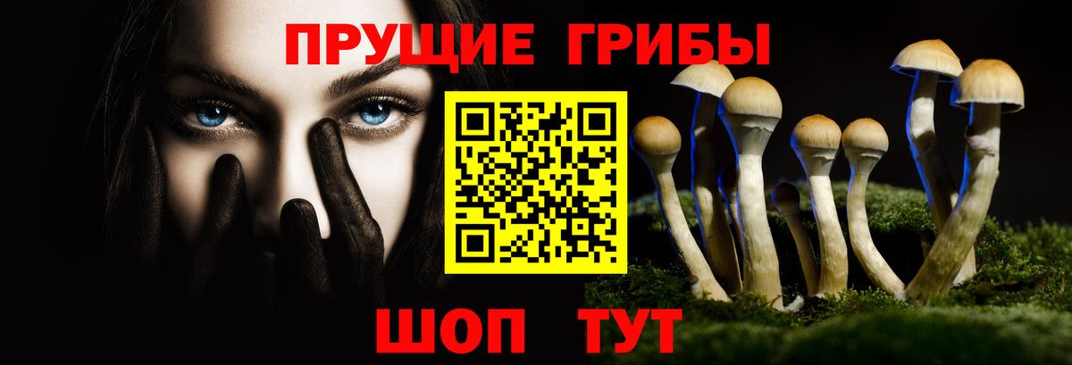 Псилоцибиновые грибы Cubensis  Вход с VPN  Псилоцибиновые грибы GOLDEN TEACHER  где можно купить наркотик  Крымск 